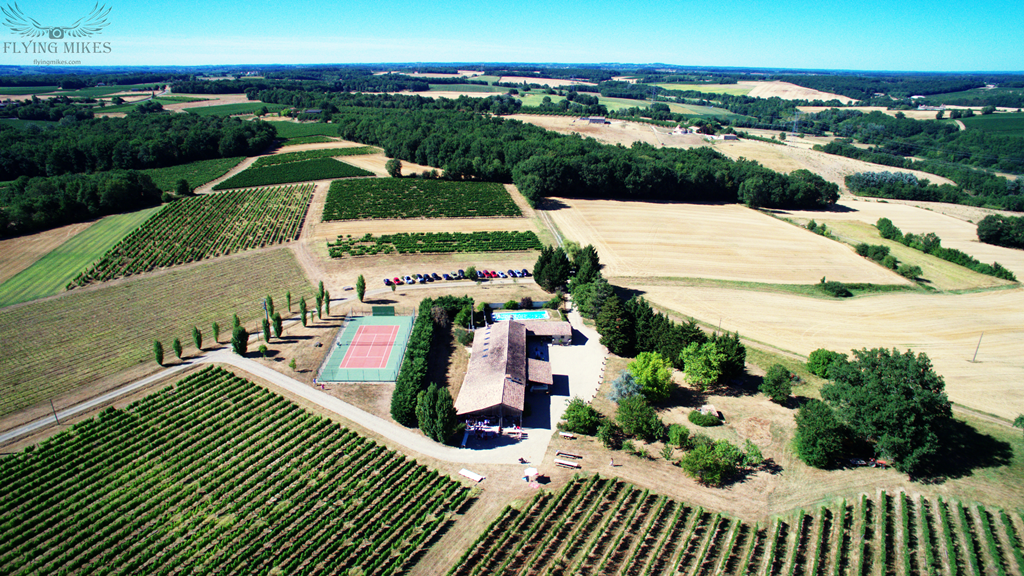 Chateau Grand Pierre - Cotes Duras - Vineyard Holidays, Vineyard Weddings and Events, Vineyard Tours