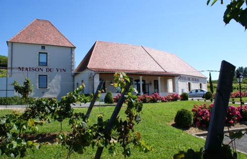 Vineyard Tours Vineyard Tours